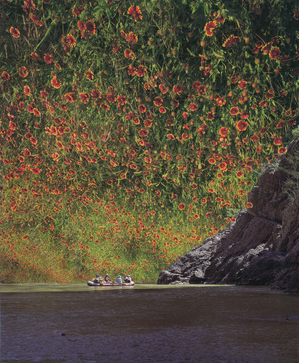 Blossoming Adventure